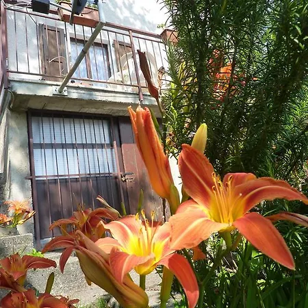 Gisela Holiday home